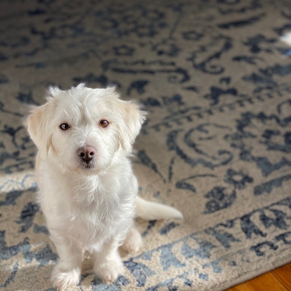 Meet your Posher, Kiel - Picture 1 of 1